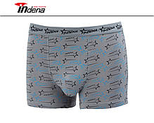Труси на Хлопчика Боксери Стрейчеві Марка "INDENA" АРТ.205521, фото 5