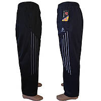 Штани спортивні чоловічі НОРМА еластик