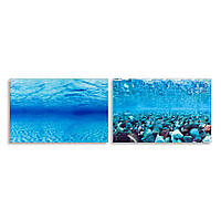 Тло двосторонній для акваріуму Ferplast Blu 9047 / 9041 (Ферпласт Блу 9047 / 9041) 60 x 40 см - BLU 9041
