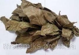 (Листя волоського горіха )(Листья грецкого ореха) 100г (ID#1281307901 ...