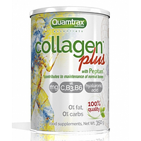 Quamtrax Collagen Plus with Peptan 350g
