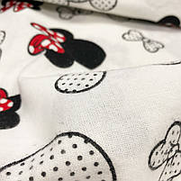 Π€Π»Π°Π½Π΅Π»Ρ "ΠΡΠΊΠΊΡ ΠΌΠ°ΡΡ Π· ΡΠ΅ΡΠ²ΠΎΠ½ΠΈΠΌ Π±Π°Π½ΡΠΎΠΌ", ΡΠΎΡΠΎ 3