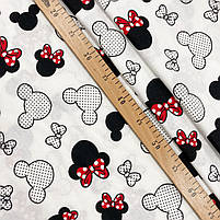 Π€Π»Π°Π½Π΅Π»Ρ "ΠΡΠΊΠΊΡ ΠΌΠ°ΡΡ Π· ΡΠ΅ΡΠ²ΠΎΠ½ΠΈΠΌ Π±Π°Π½ΡΠΎΠΌ", ΡΠΎΡΠΎ 4