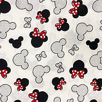 Π€Π»Π°Π½Π΅Π»Ρ "ΠΡΠΊΠΊΡ ΠΌΠ°ΡΡ Π· ΡΠ΅ΡΠ²ΠΎΠ½ΠΈΠΌ Π±Π°Π½ΡΠΎΠΌ", ΡΠΎΡΠΎ 2