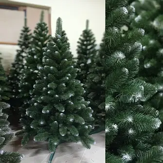 Ялинки класичні