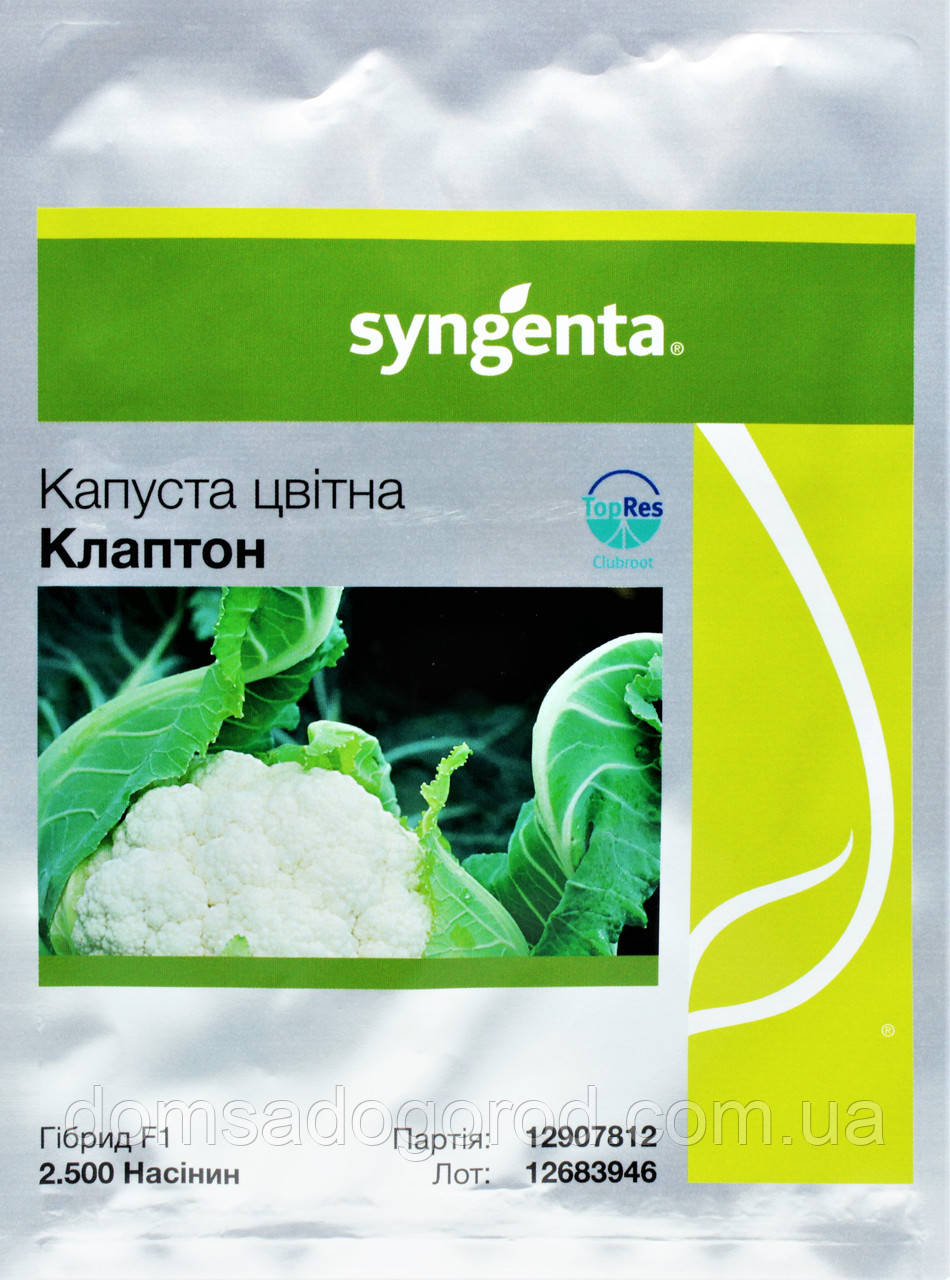 Капуста цвітна КЛАПТОН F1 Syngenta 2500 шт.