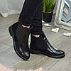 Черевики жіночі на низькому ходу, натуральна замша та шкіра "пітон", фото 2