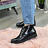 Черевики жіночі чорні на шнурівці, натуральна шкіра "пітон", фото 4