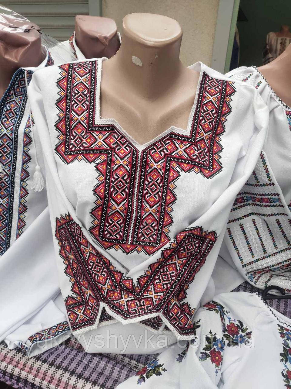 Класична вишиванка жіноча "Багатий орнамент"