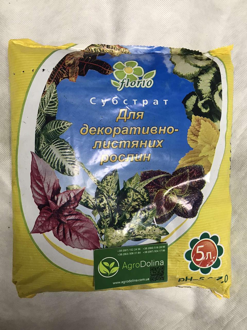Субстрат Florio для декоративно-листяних рослин 5 л, фото 1