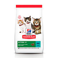 HILL'S SCIENCE PLAN Kitten Сухой Корм для Котят с Тунцом - 300 г