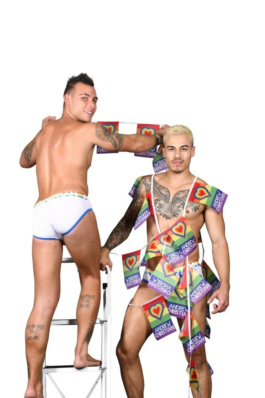 Гірлянда-прапор Pride Heart Flag String Banner, фото 1