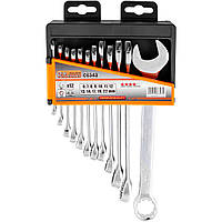 Набір ключів рожково-накидних Richmann 12 шт 6-22 мм в корпусі (C6343)