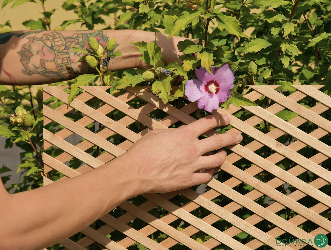 Дерев'яна декоративна решітка — 1R ( Ясен )