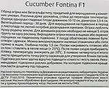 Огірок кімнатний Фонтина F1 10 шт NongWoo Bio Корея, фото 4