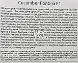 Огірок кімнатний Фонтина F1 10 шт NongWoo Bio Корея, фото 3