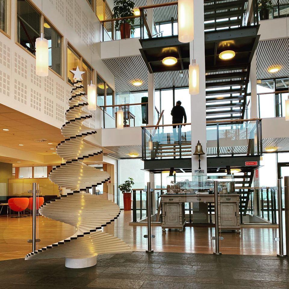 Ялинка різдвяна Казка 300 см, дерев’яна, конусна конструкція