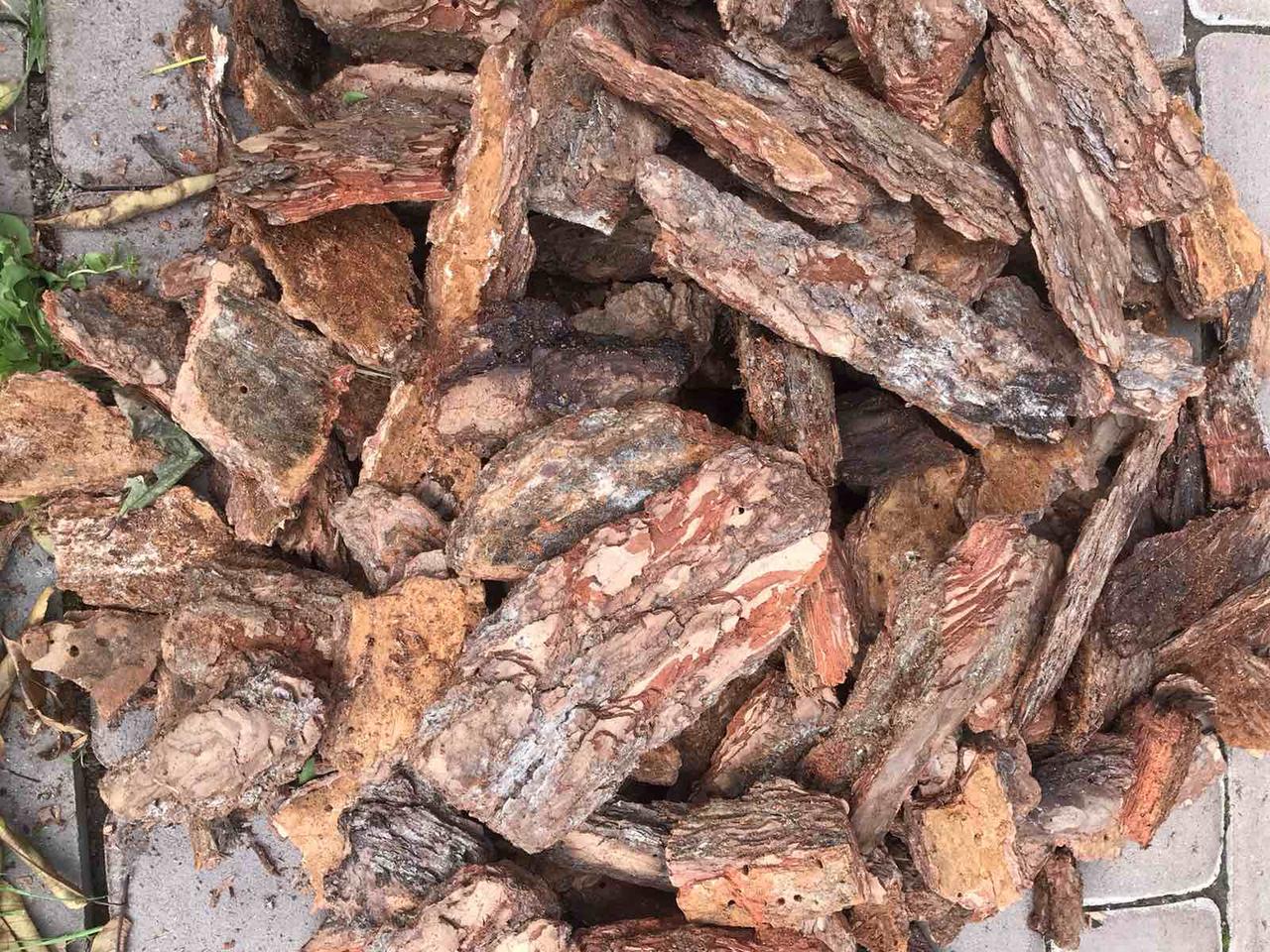 Кора соснова декоративна велика (8-13см) - 50л, фото 1