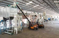 Лінія для виробництва паливних пелет з біомаси DINGLI