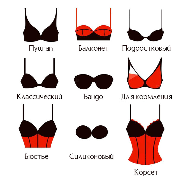 види і фасони штанів