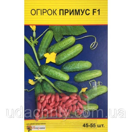 Огірок Примус F1  (Польща) 45-55 насіння