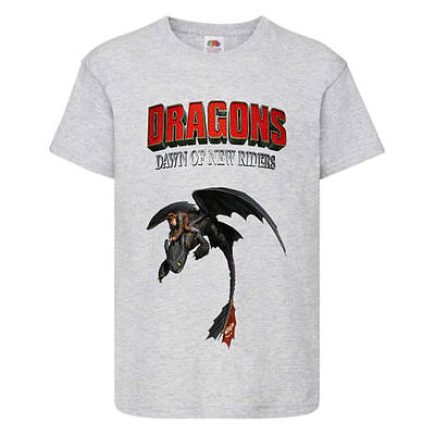 Футболка дитяча Як приручити дракона 104-164 розмір (KPD-02) сіра