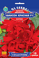 Насіння Бегонії Шансон червона F1 (10шт), Collection, TM GL Seeds