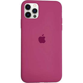 Чохол Silicone Case для Apple iPhone 12 Pro Max силіконовий, Dragon Fruit