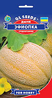 Диня Ефіопка середньоранна великоплідна легка соковита солодка дуже смачна, паковання 2 г