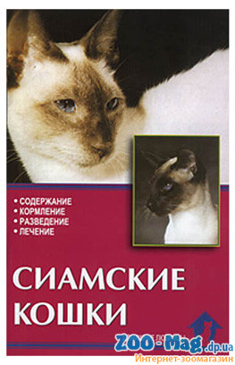 Сіамські кішки. Революційний, фото 1