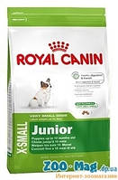 Royal Canin X Small Junior (роял канін сухий корм для цуценят від 2 до 10 місяців) 0,5 кг