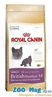 Royal Canin British Shorthair adult (Британская короткошерстная от 1 года) 2кг