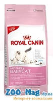 Royal Canin Babycat (роял канин сухой корм для котят от 1 до 4мес. и лактирующих кормящих кошек) 0,4 кг
