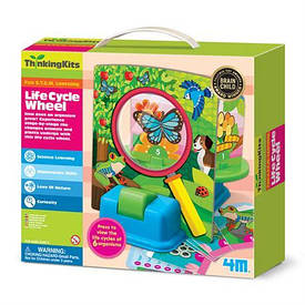 Набір 4М Життєвий цикл тварин і рослин (00-04693)