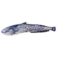 Подушка-рыба Gaby Сом 115х20см(3KB2018)