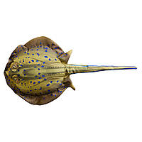 Подушка-рыба Gaby Скат 47х25см(3KB2097)