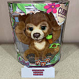 Інтерактивна іграшка FurReal Friends Каббі допитливий ведмежатко Cubby The Curious Bear E4591, фото 10