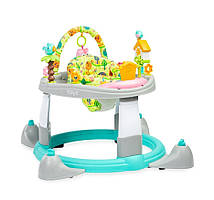 Ходунки 3 в 1 Caretero (Toyz) Aloha Grey