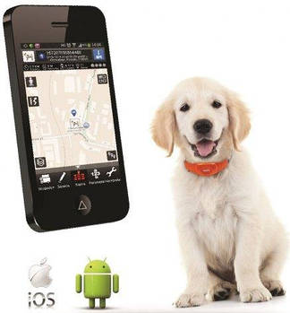 GPS маяки трекери для тварин
