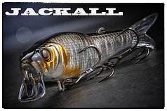 Jackall