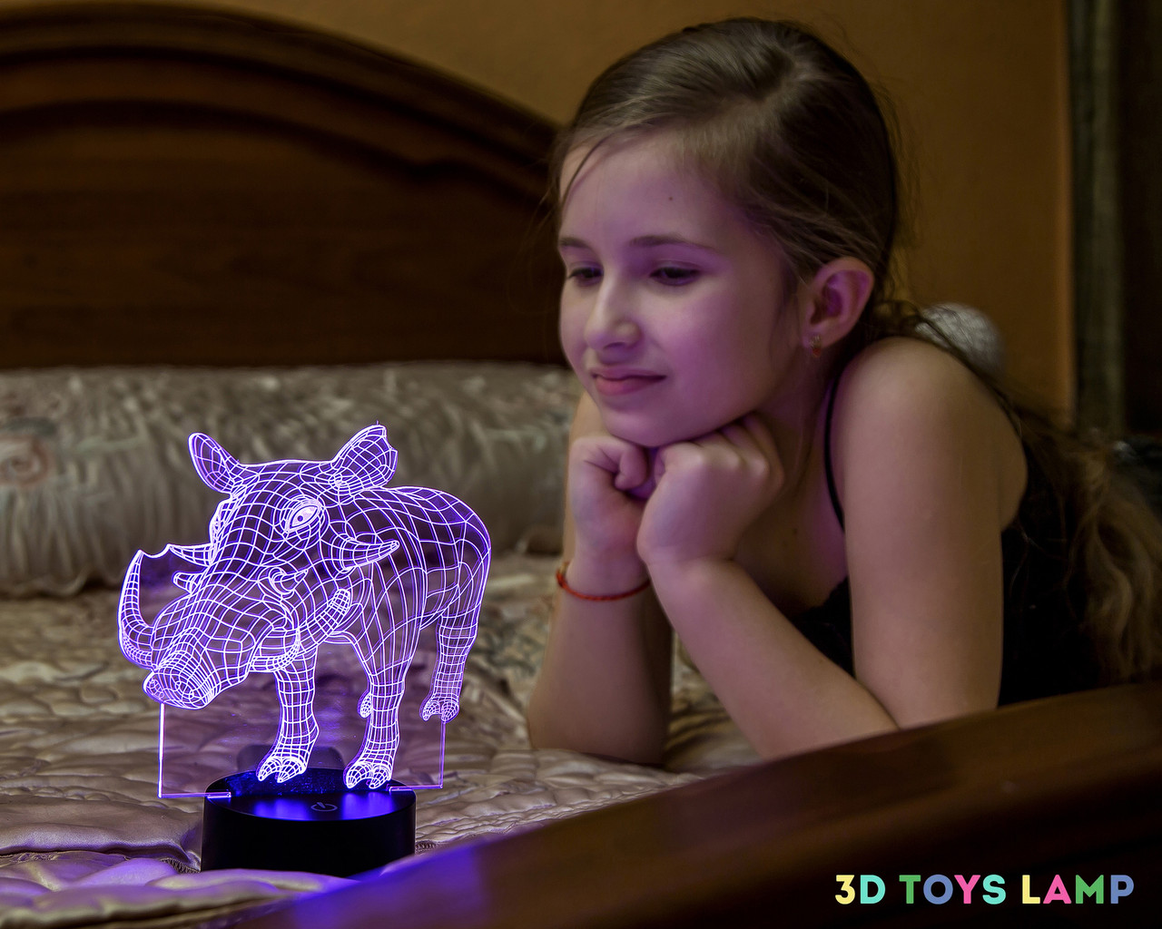 3D нічник "Пумба" (ВОЛІЧНЕ ЗОБРАЖЕННЯ) + пульт ДК + мережевий адаптер + батарейки (3ААА)  3DTOYSLAMP, фото 1