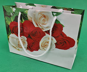 Пакет паперовий малий горизонтальний 11/18/5 (арт М010) (12 шт.)