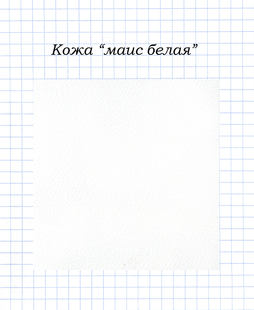 Шкіра "маїс біла"