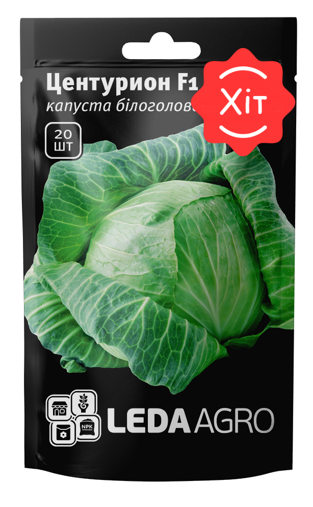 Капуста центурион. Капуста центурион f1. Капуста центурион. Белокочанная капуста "центурион f1". Капуста центурион.