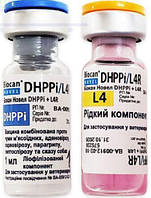 Биокан Новел DHPPI+L4R Biocan Novel DHPPI+L4R вакцина для собак (бешенство,чума,аденовирус,парагрипп), 1 доза