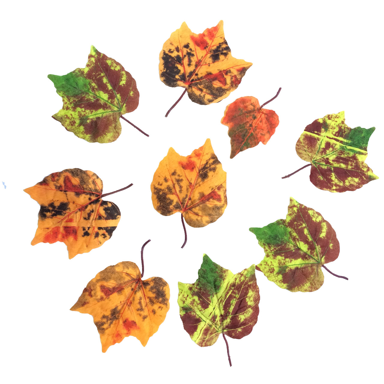 Листя калини осінні (50 шт.), фото 1