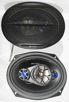 Динаміки BM audio WJ1-S99V4 6x9' овали