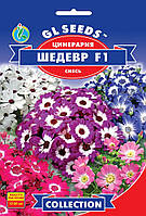 Семена Цинерарии цветущей Шедевр F1 смесь (0.01г), Collectiom, TM GL Seeds