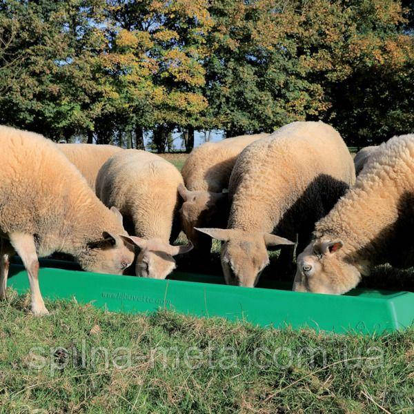 Кормушка 1 м для овец и коз, LaBuvette Франция - фото 2 - id-p1283423276