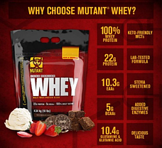 Протеїн Mutant Whey 4,5 кг, фото 4
